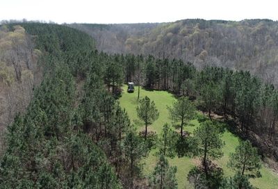 North Wolf Creek Centerville TN 37033
