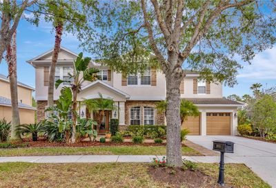 16113 Colchester Palms Drive Tampa FL 33647