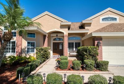 4665 Aylesford Drive Palm Harbor FL 34685