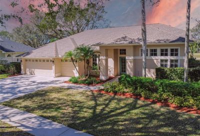 3824 Spruce Pine Drive Valrico FL 33596