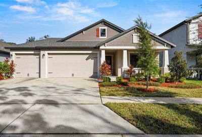 724 Kingsfield Reserve Avenue Brandon FL 33511