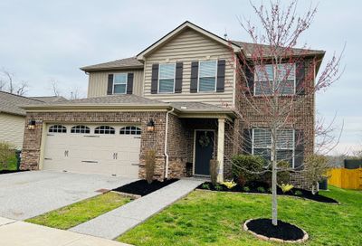 256 Jocelyn Dr White House TN 37188