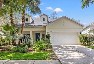 6230 Gannetdale Drive Lithia FL 33547
