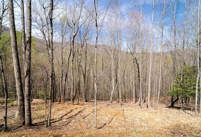 808 Stoney Stream Lane Arden NC 28704