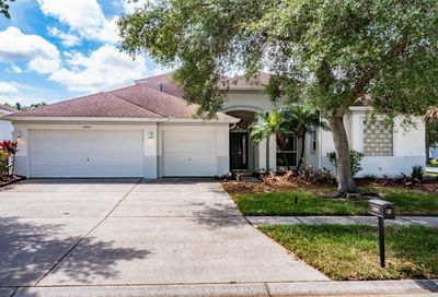 17009 Falconridge Road Lithia FL 33547