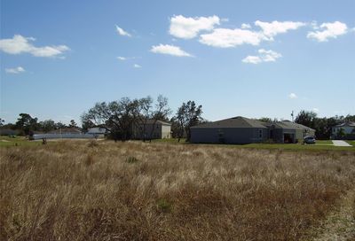 1943 Manatee Drive Kissimmee FL 34759