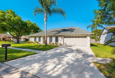18302 Cypress Stand Circle Tampa FL 33647