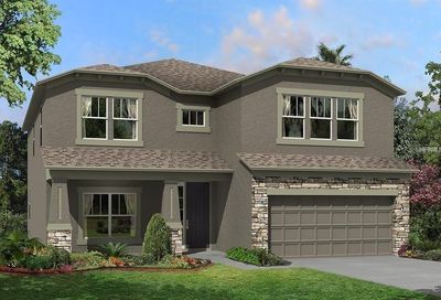 3111 King Fern Drive Wimauma FL 33598