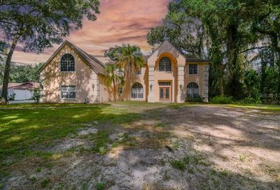 11310 Leprechaun Drive Riverview FL 33569