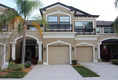11438 Crowned Sparrow Lane Tampa FL 33626