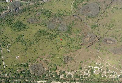 Holopaw Grove Road Saint Cloud FL 34771
