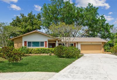 1408 Brighton Court Palm Harbor FL 34684