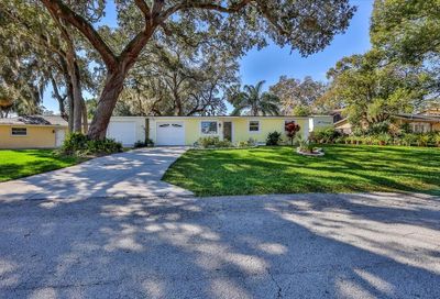 3731 Philippe Drive Safety Harbor FL 34695