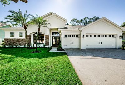 10319 Greenhedges Drive Tampa FL 33626
