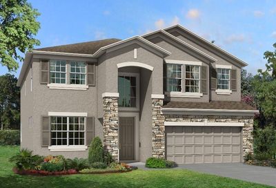 12012 Orchid Ash Street Riverview FL 33579