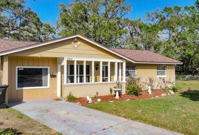 4319 Royal Ivey Gardens Court Orlando FL 32811
