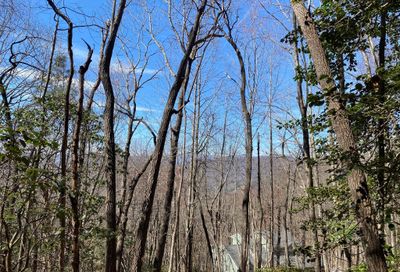 Lot 187 Wild Cherry Drive Mills River NC 28759