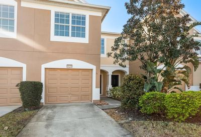 10259 Red Currant Court Riverview FL 33578
