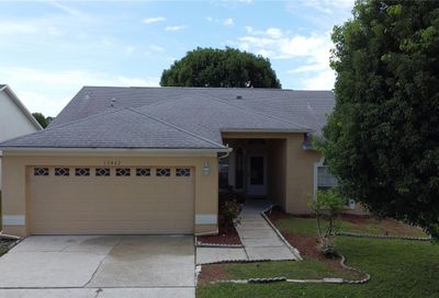 13422 Silvercreek Drive Riverview FL 33579