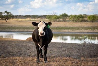 1700 County Rd 402 Marble Falls TX 78654