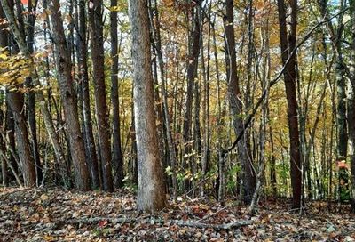 0000 Dog Leg Road Whittier NC 28789