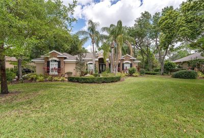6032 Audubon Manor Boulevard Lithia FL 33547