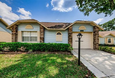 4824 Sheffield Drive New Port Richey FL 34655