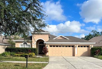 16511 Bridgewalk Drive Lithia FL 33547
