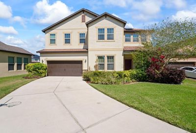 11807 Cross Vine Drive Riverview FL 33579