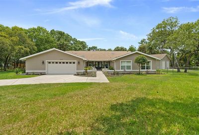 1475 Glenridge Drive Spring Hill FL 34609