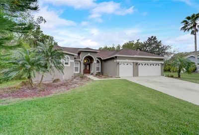 1000 Drift Creek Cove Orlando FL 32828