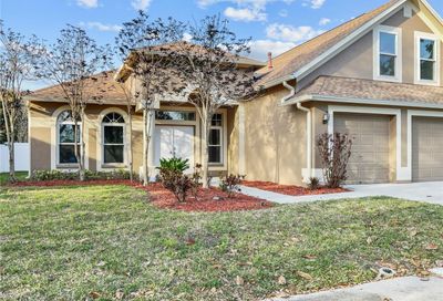 4304 Orange Ridge Court Valrico FL 33596