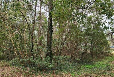 NE Bryson Street Live Oak FL 32064