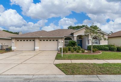 1635 Winding Willow Drive Trinity FL 34655