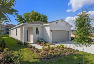 3311 Thicket Street Tavares FL 32778