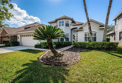 11630 Renaissance View Court Tampa FL 33626