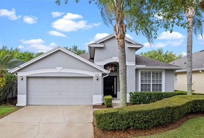 9314 Green Dragon Street Orlando FL 32827