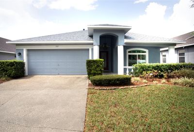 3509 Gray Whetstone Street Brandon FL 33511