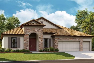 148 Mossy River Court Brandon FL 33511