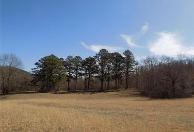 1681 County Road #1681 Black MO 63625