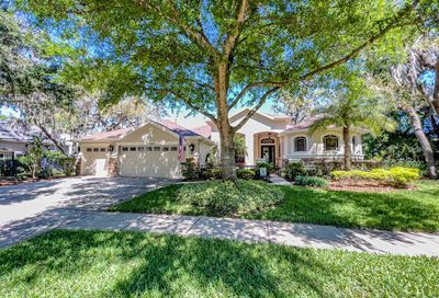 15604 Ibiscrest Court Lithia FL 33547