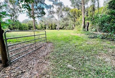 Undetermined Ocala FL 34480