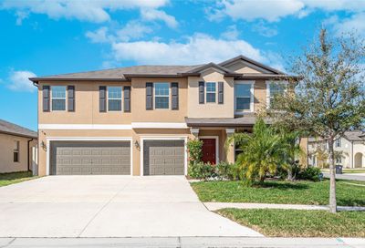1603 Harvest Amber Place Ruskin FL 33570