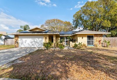 1387 Chelsea Drive Tarpon Springs FL 34689