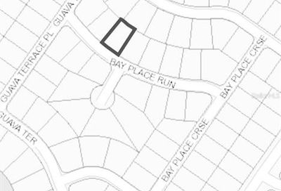 00 Bay Place Run Ocklawaha FL 32183