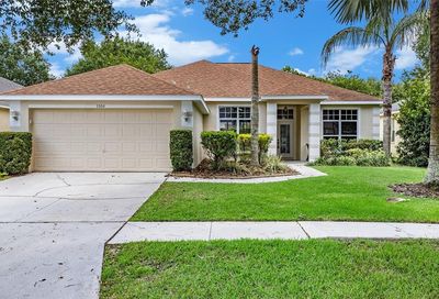 5904 Falconpark Court Lithia FL 33547