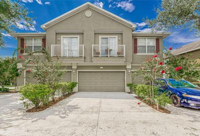 6714 Breezy Palm Drive Riverview FL 33578