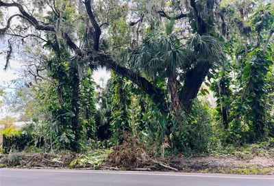 Needle Palm Drive Edgewater FL 32141
