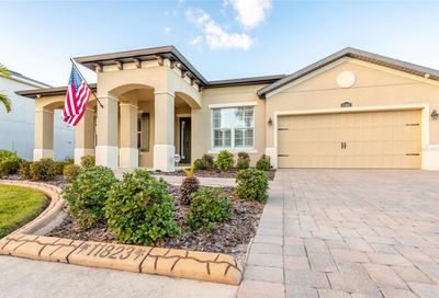 11823 Lake Lucaya Drive Riverview FL 33579