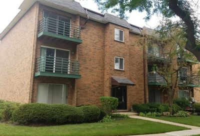 905 Casey Court Schaumburg IL 60173